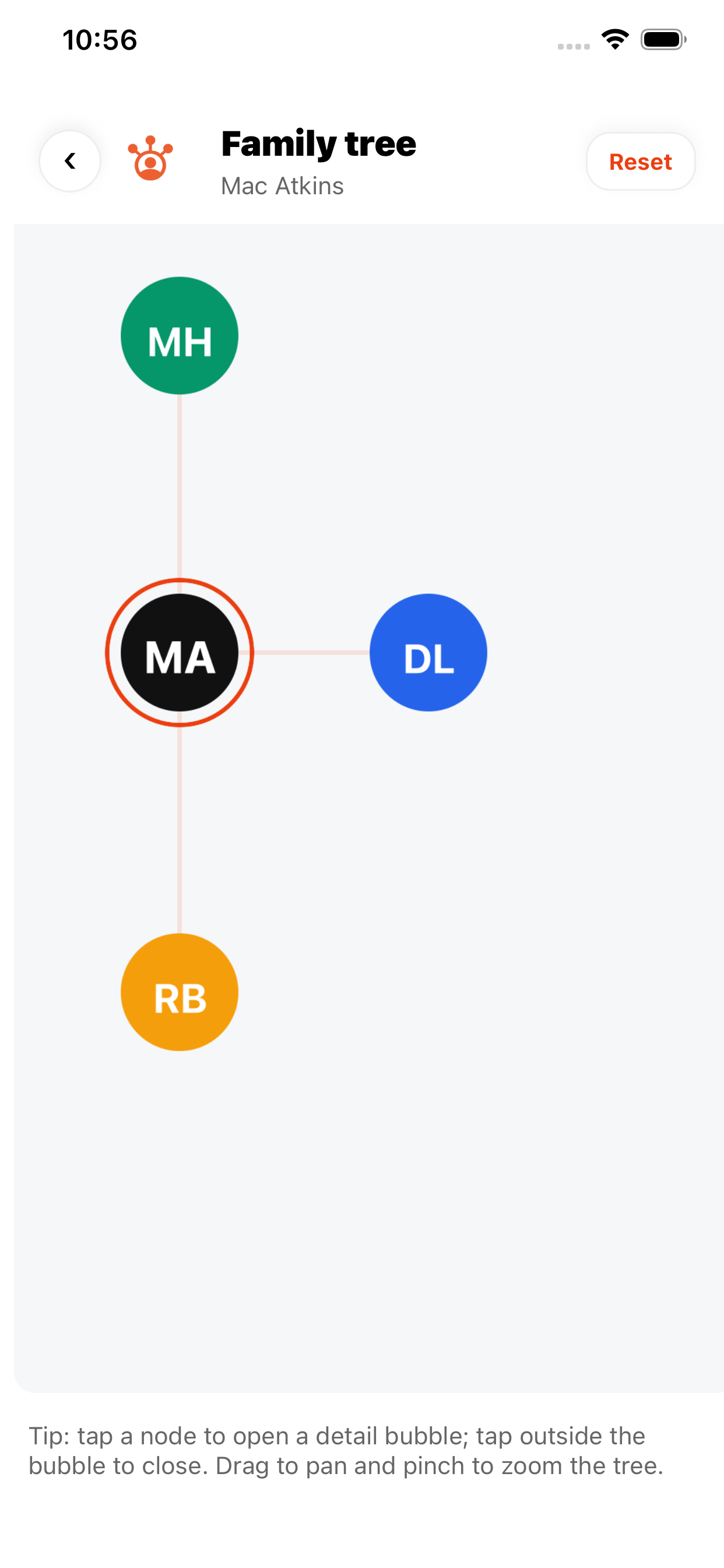 Family tree and relationships view